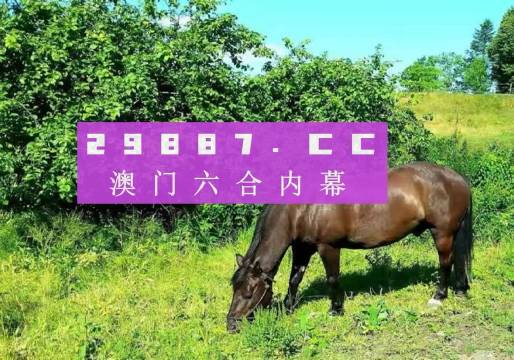 澳门今晚必开一肖一码新闻——反馈执行和跟进_Elite87.723