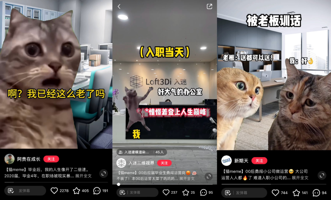 【梗百科】猫税是啥梗？赛博难民涌入国内？