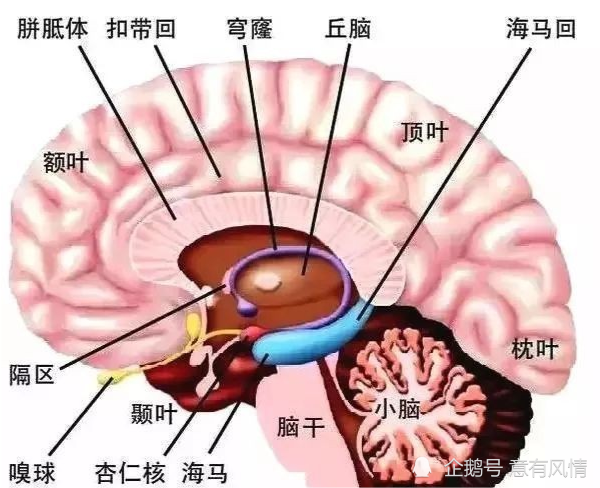 被叮叮叮占据大脑，现代生活中的噪声污染