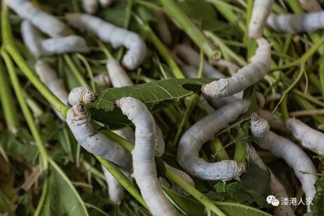 澳门最精准正最精准龙门蚕反馈意见和建议,澳门最精准正最精准龙门蚕_iShop95.262