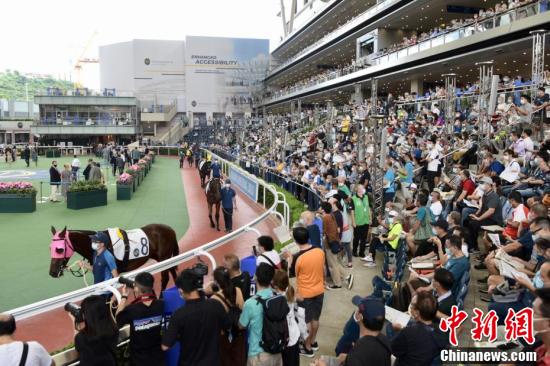 香港今晚开什么特马最佳精选解释落实,香港今晚开什么特马_工具版49.788