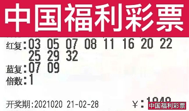 2025澳门六今晚开奖结果动态词语解释落实,2025澳门六今晚开奖结果_完整版69.168