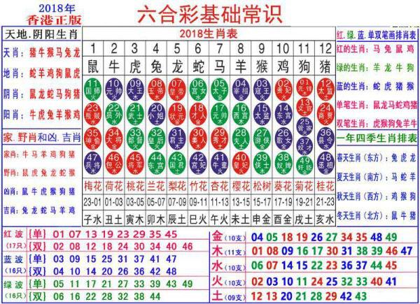 澳门正版资料大全资料生肖卡动态词语解释落实,澳门正版资料大全资料生肖卡_S81.428