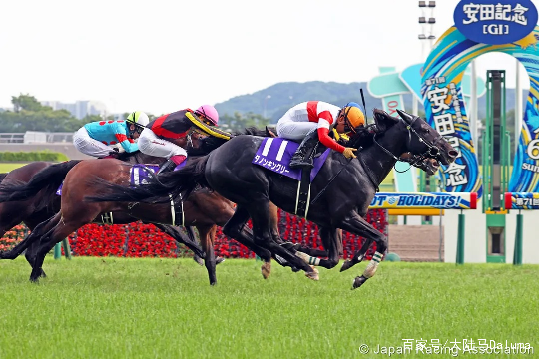 香港特马资料王中王反馈机制和流程,香港特马资料王中王_顶级款33.63