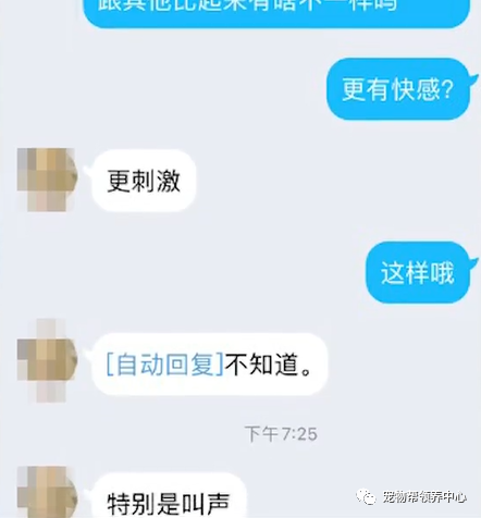 虐杀宠物产业链调查