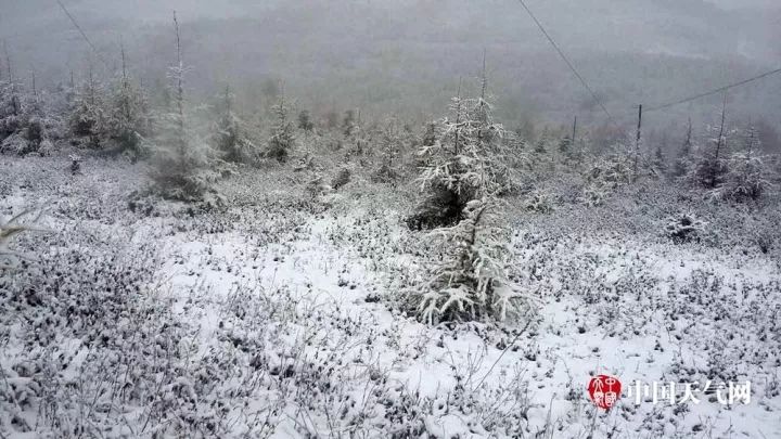 河南局地暴雪，一场冰雪与温情的奇妙邂逅