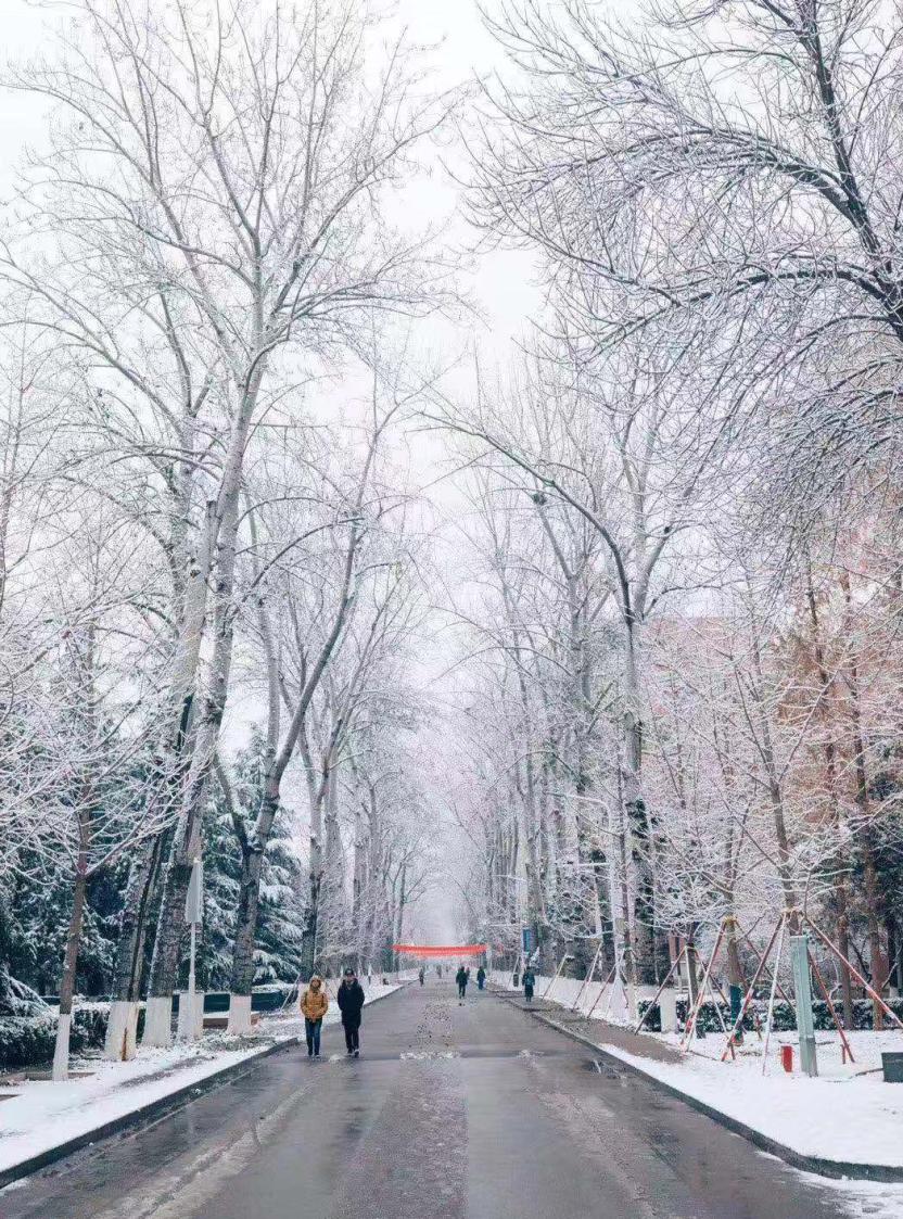 北京下雪，这个城市的冬季童话