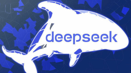 我能为 deepseek 做点什么?