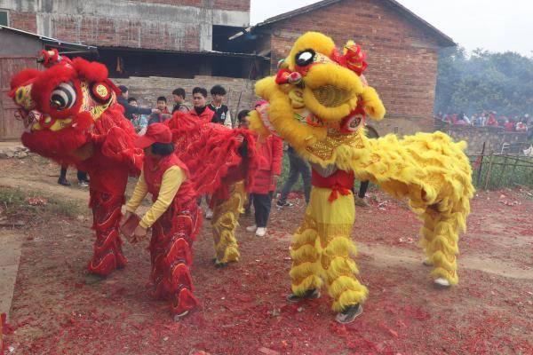 中国舞狮看广东，揭秘南派醒狮文化的独特魅力与传承奥秘！一探究竟，热血沸腾的盛世雄风。