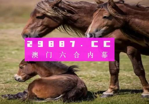 新门内部资料必中三肖反馈执行和落实力,新门内部资料必中三肖_精英款81.648