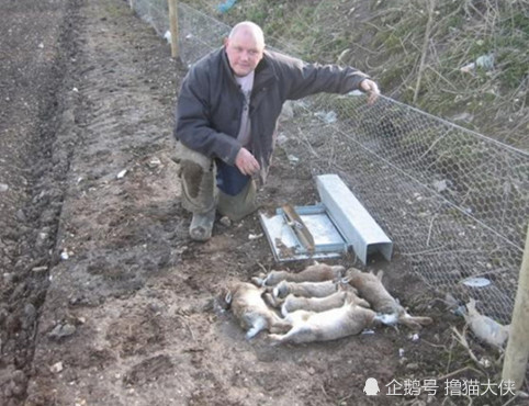 亲历者泣诉，家逢险情，滑坡威胁犹存——一场生死边缘的挣扎体验深度解析攻略文章！内含重大事件真相揭秘。