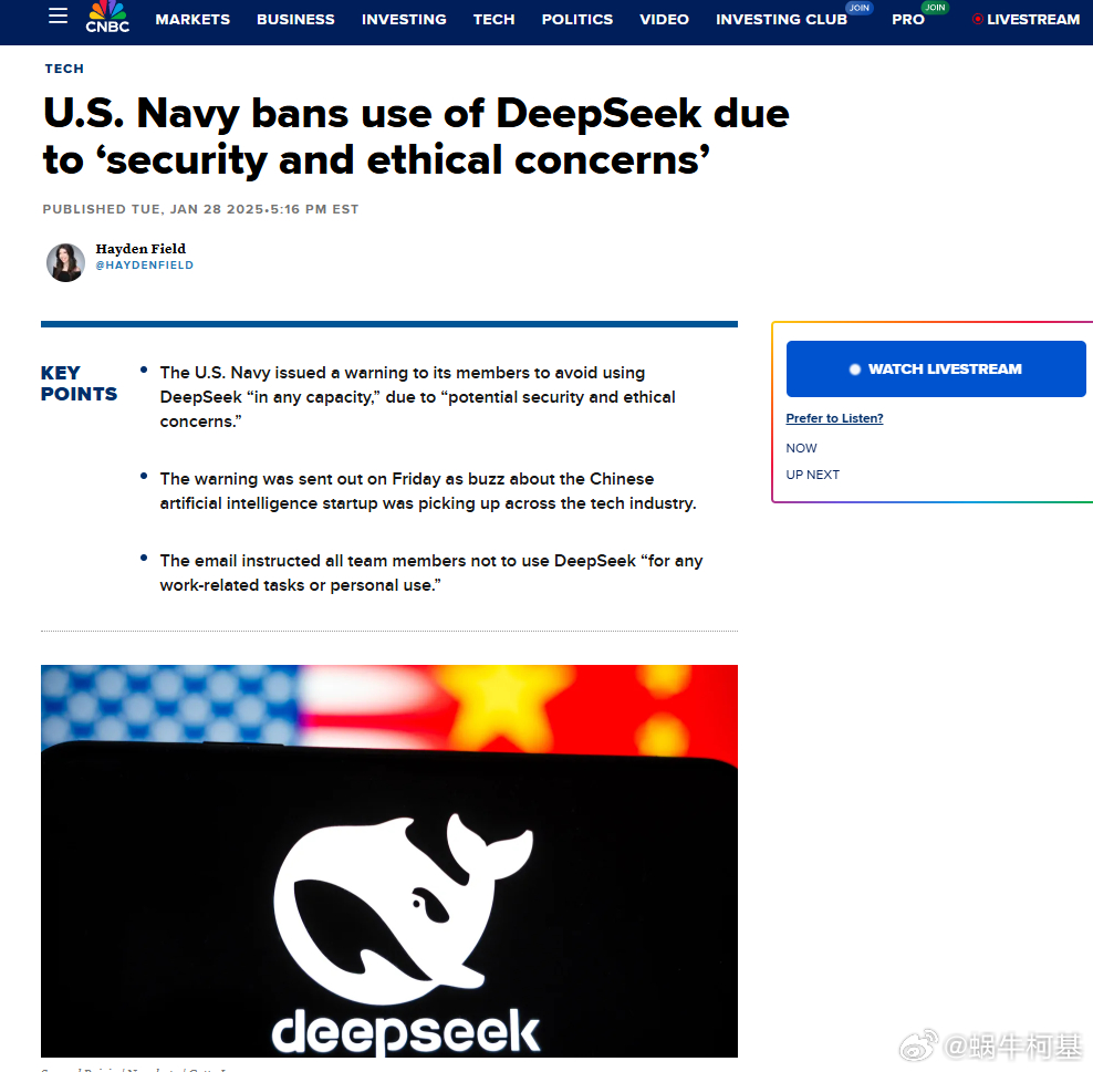 美国视角下的Deepseek，深海之下的秘密究竟有多可怕？深度解析其背后真相。