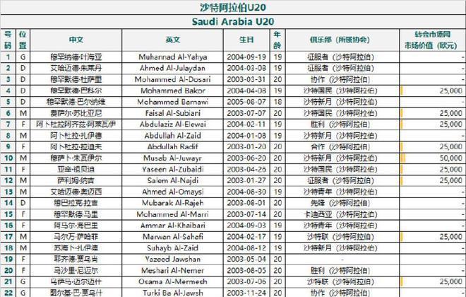 U20亚洲杯中国队震撼来袭，全新阵容揭晓，谁将成为明日之星？重磅名单揭秘！悬念重重待解……​​​