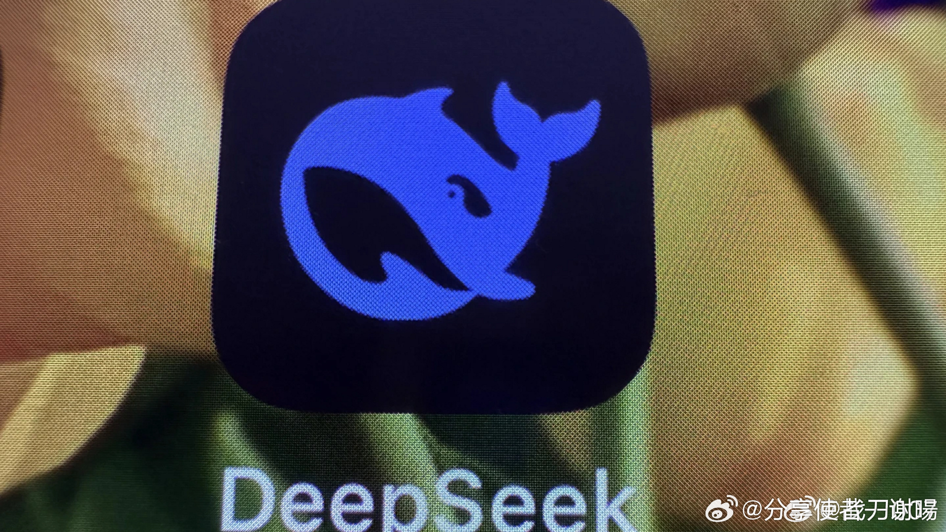 苹果为何与DeepSeek擦肩而过？揭秘背后的原因