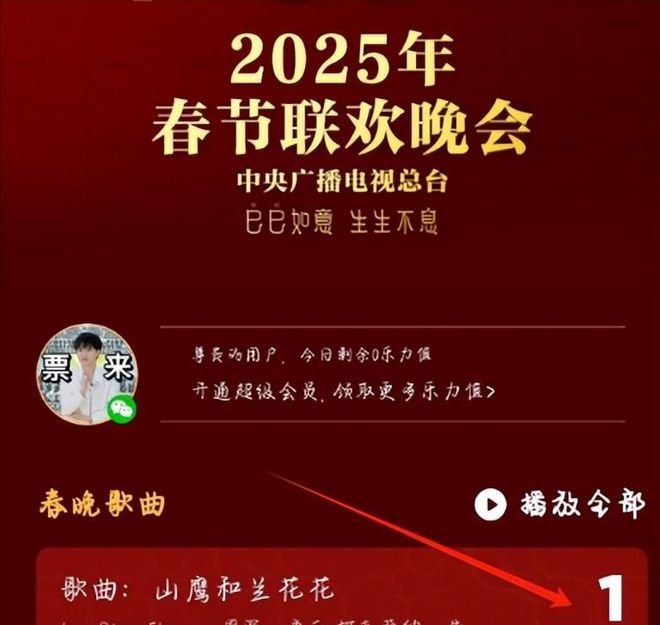 2025央视元宵晚会