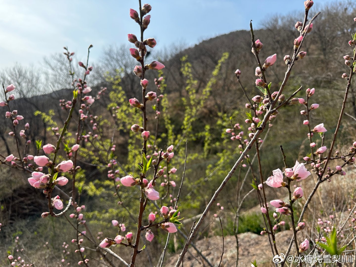 不负好春光，上春山——踏青春游正当行