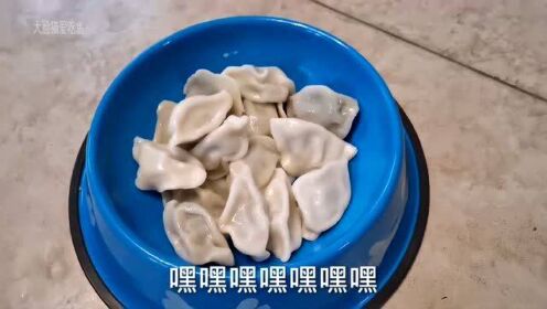 特效团队喊话饺子，轻点折磨，我们期待更美好的合作之旅！深度解析背后的故事与挑战。