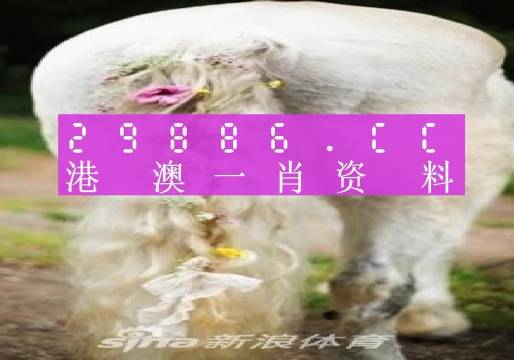 今晚澳门必中一肖33二、揭示2025最热门趋势的神秘内幕，安卓93.195将如何改写游戏规则？