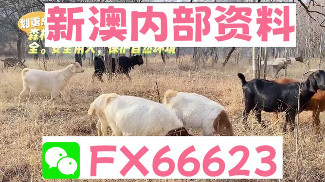 今晚新澳2025开奖资料沦为谜局！细化落实与39.695粉丝款究竟隐藏了什么惊天秘密？