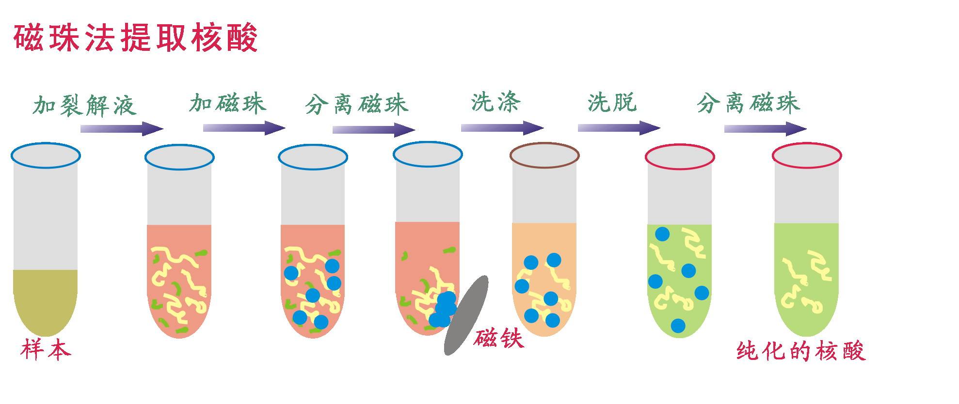 无水印 提纯视频