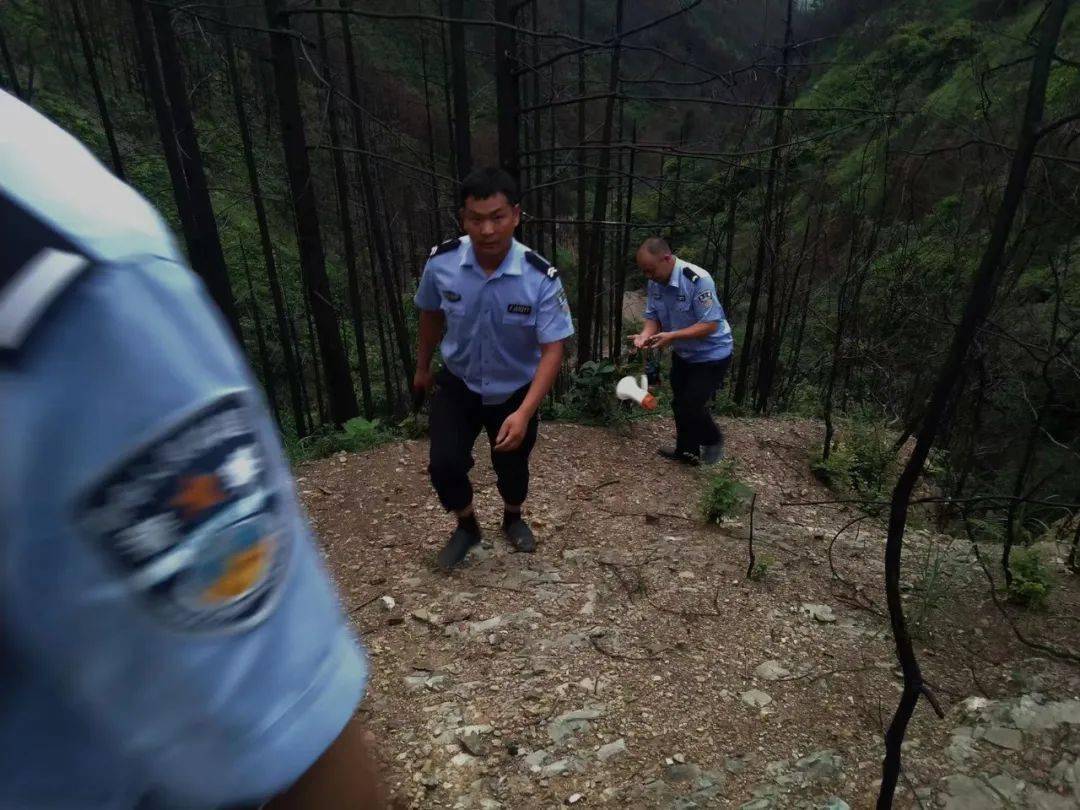 14岁男生逃入深山，学习压力逼近绝境，警民联手能否成功营救？