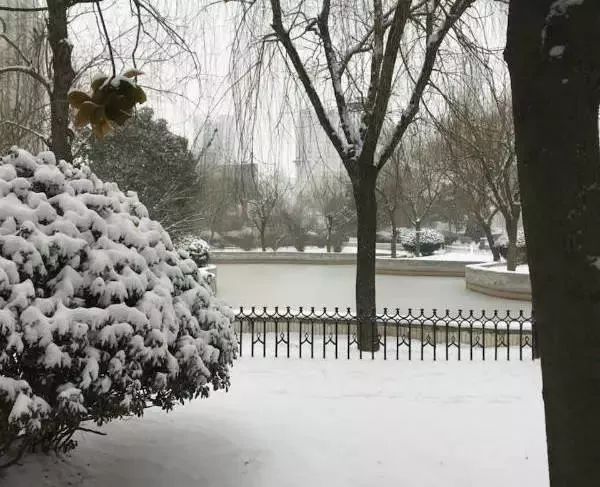 郑州下雪了！这个冬天的奇迹让人心跳加速，你绝对想不到接下来会发生什么！