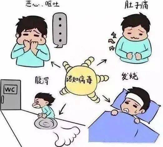 男子称妻子上公厕感染诺如病毒