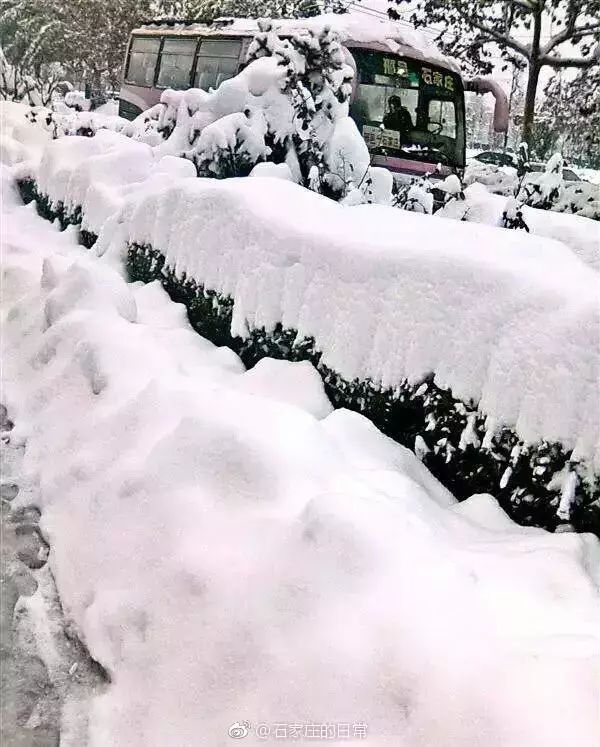 突如其来的暴风雪，石家庄的冰封之境，让你意想不到的寒冷与温暖！