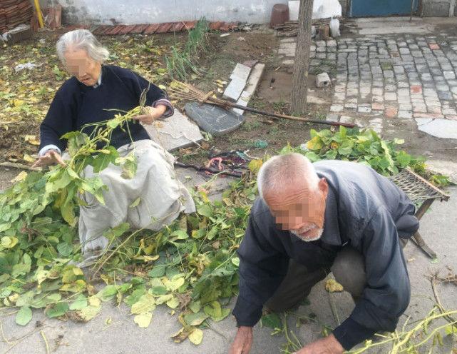 爷爷测听力一个没对，医生忍不住笑出声的背后真相！