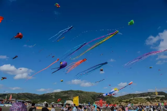 浙江一地招守鸟人，身临海岛生活4个月，守护自然的体验究竟能否打动你？