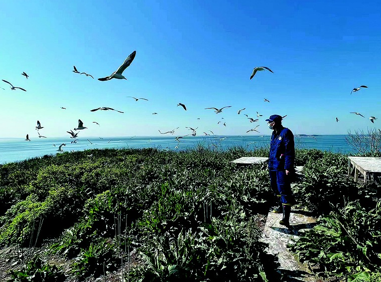 你敢不敢来？浙江海岛招募守鸟人，4个月后生活的真相曝光！