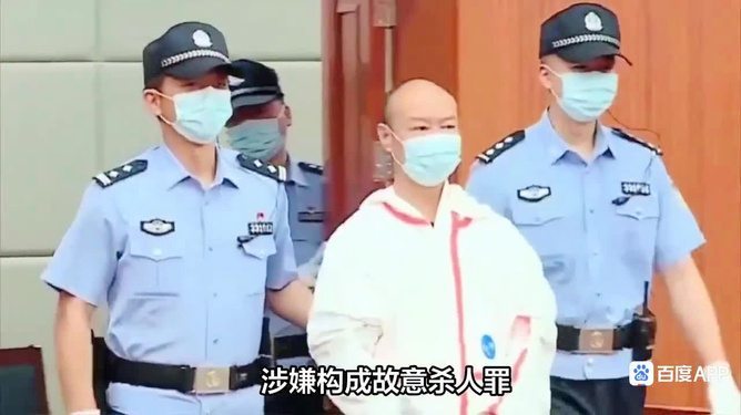 河南女法官遇害案凶手被执行死刑，案件背后真相揭晓引发热议！