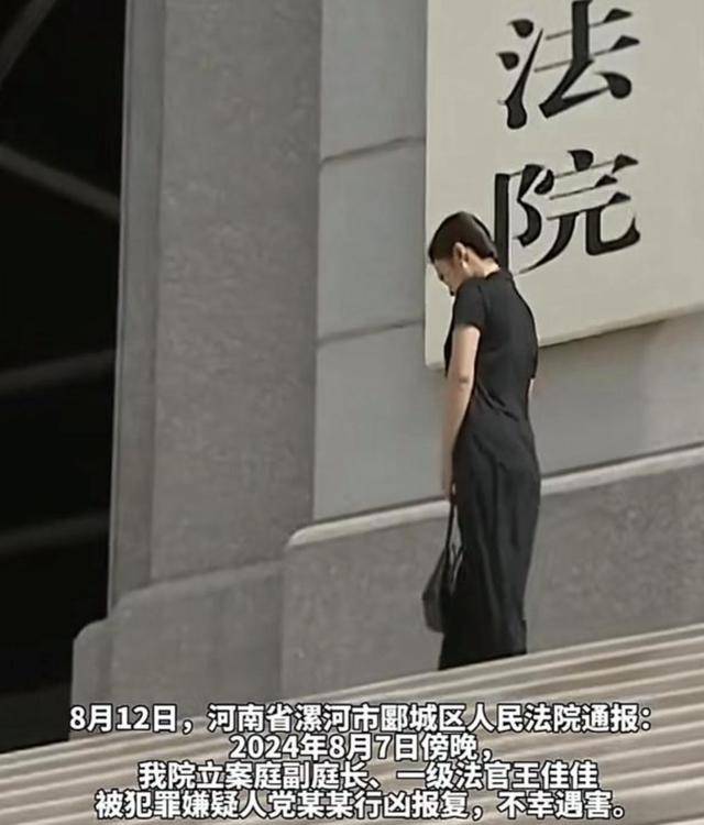 河南女法官遇害案凶手被执行死刑