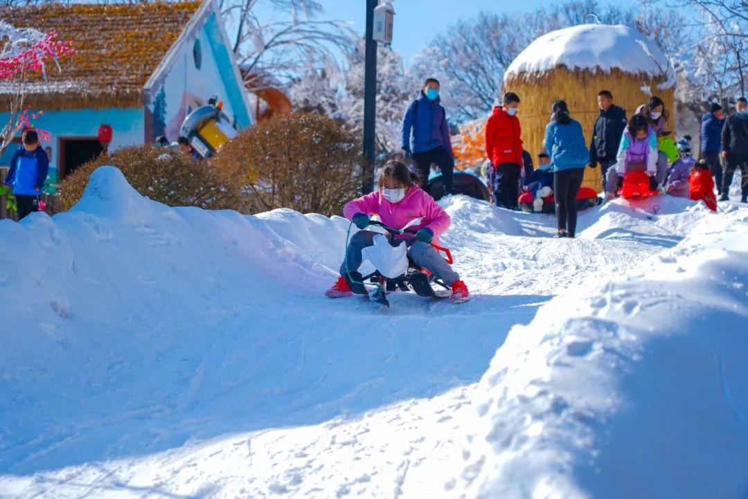 济南暴雪路上汽车变绝望冰壶