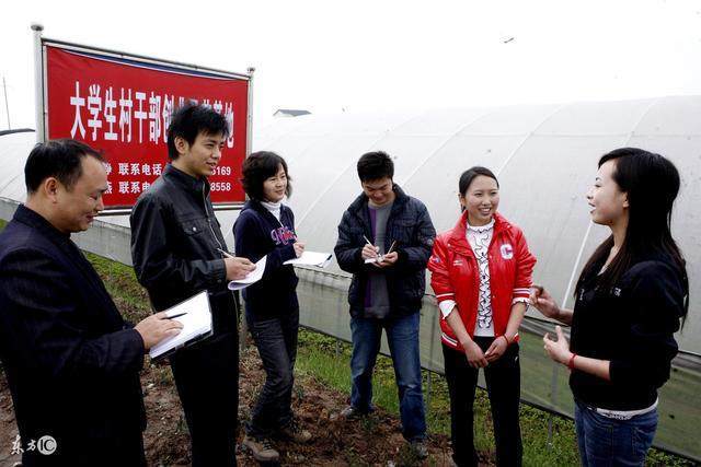 万元补贴来袭！农村创业大学生能否逆袭人生？