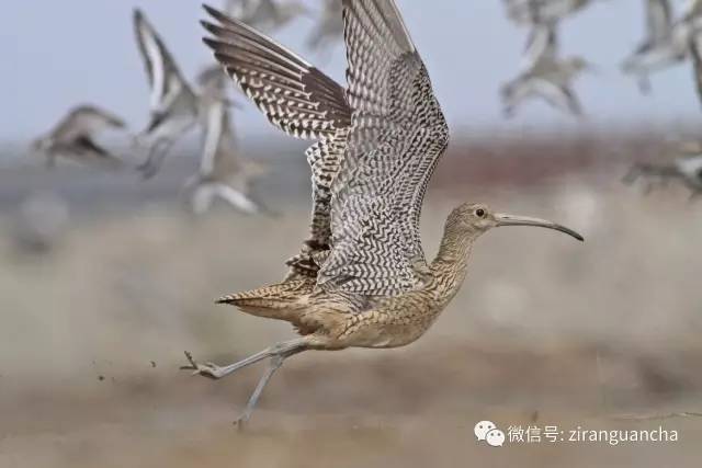 几个月来全网还没什么讨论