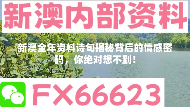 新澳全年资料诗句揭秘背后的情感密码，你绝对想不到！