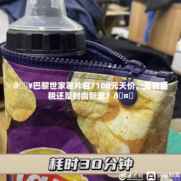 巴黎世家薯片包售价7100元引热议