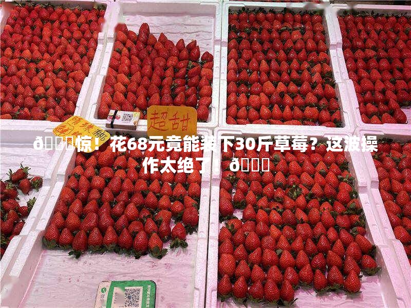 🍓惊！花68元竟能装下30斤草莓？这波操作太绝了！🛒