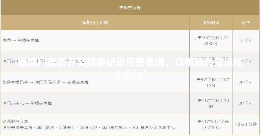 新澳门最新开奖结果记录历史查询，真相竟然是这样？🤯