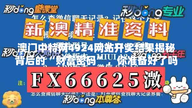 澳门中特网4924网站开奖结果揭秘背后的“财富密码”，你准备好了吗？