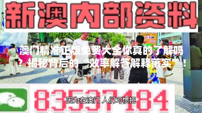 澳门精准正版免费大全你真的了解吗？揭秘背后的“效率解答解释落实”！