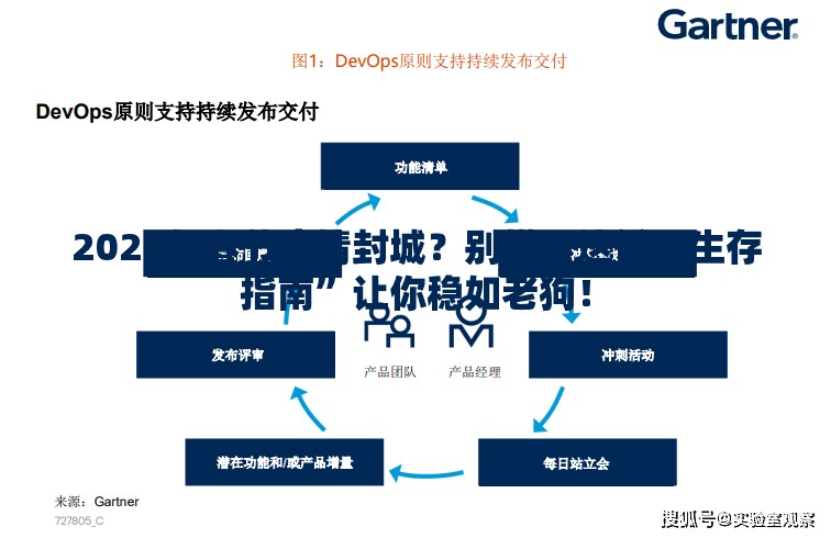 2025年春节疫情封城？别慌，这份“生存指南”让你稳如老狗！