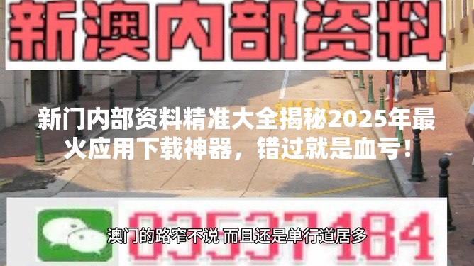 新门内部资料精准大全揭秘2025年最火应用下载神器，错过就是血亏！