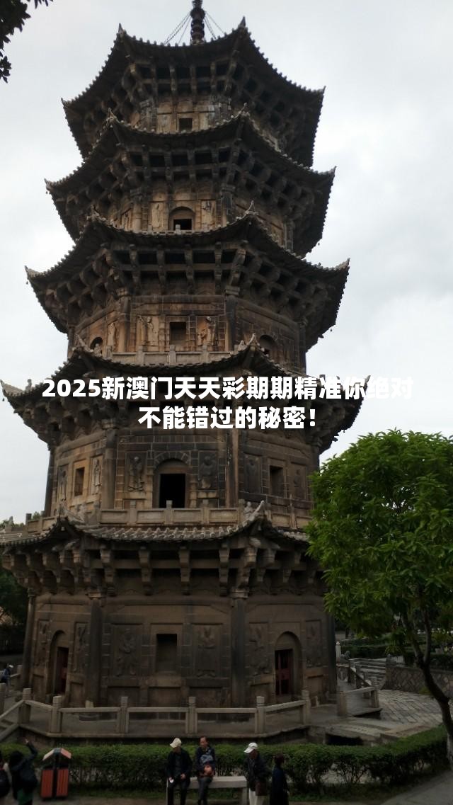 2025新澳门天天彩期期精准你绝对不能错过的秘密！