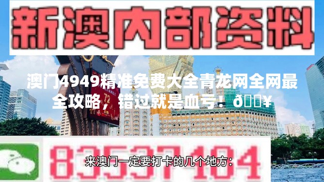 澳门4949精准免费大全青龙网全网最全攻略，错过就是血亏！🔥