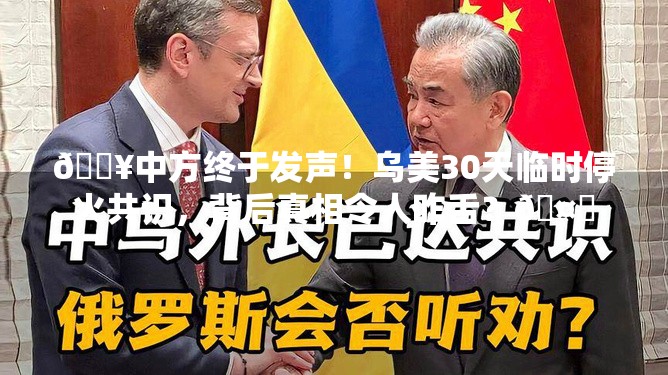 🔥中方终于发声！乌美30天临时停火共识，背后真相令人咋舌？🤔