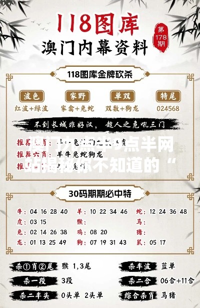 澳门九点半9点半网站揭秘你不知道的“专属版95.187”使用攻略，精准落实每一步！