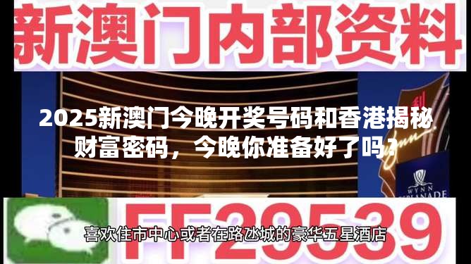 2025新澳门今晚开奖号码和香港揭秘财富密码，今晚你准备好了吗？