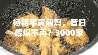 杨铭宇黄焖鸡较巅峰期缩水3000家店